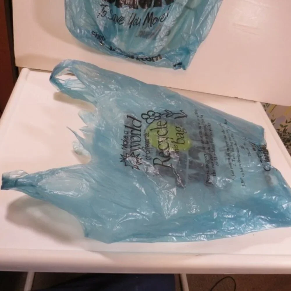 Vintage (2) Blue Wal-Mart Shopping Bags in great condition